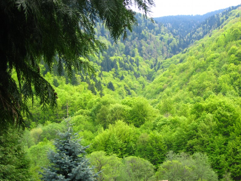 Рила – райска природа